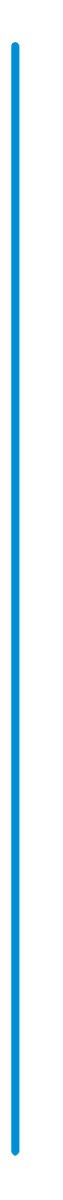 ligne-bleue2